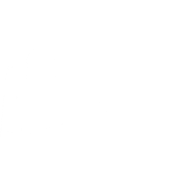 Alana Shop Store